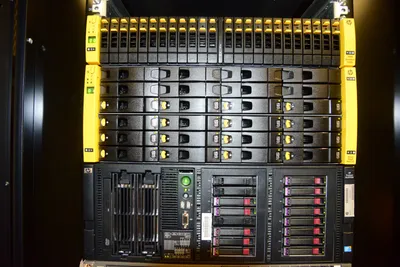 DSC_1357 (Large).JPG